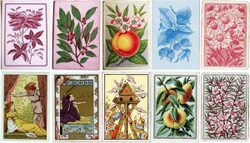 The Art & Design of Playing Cards