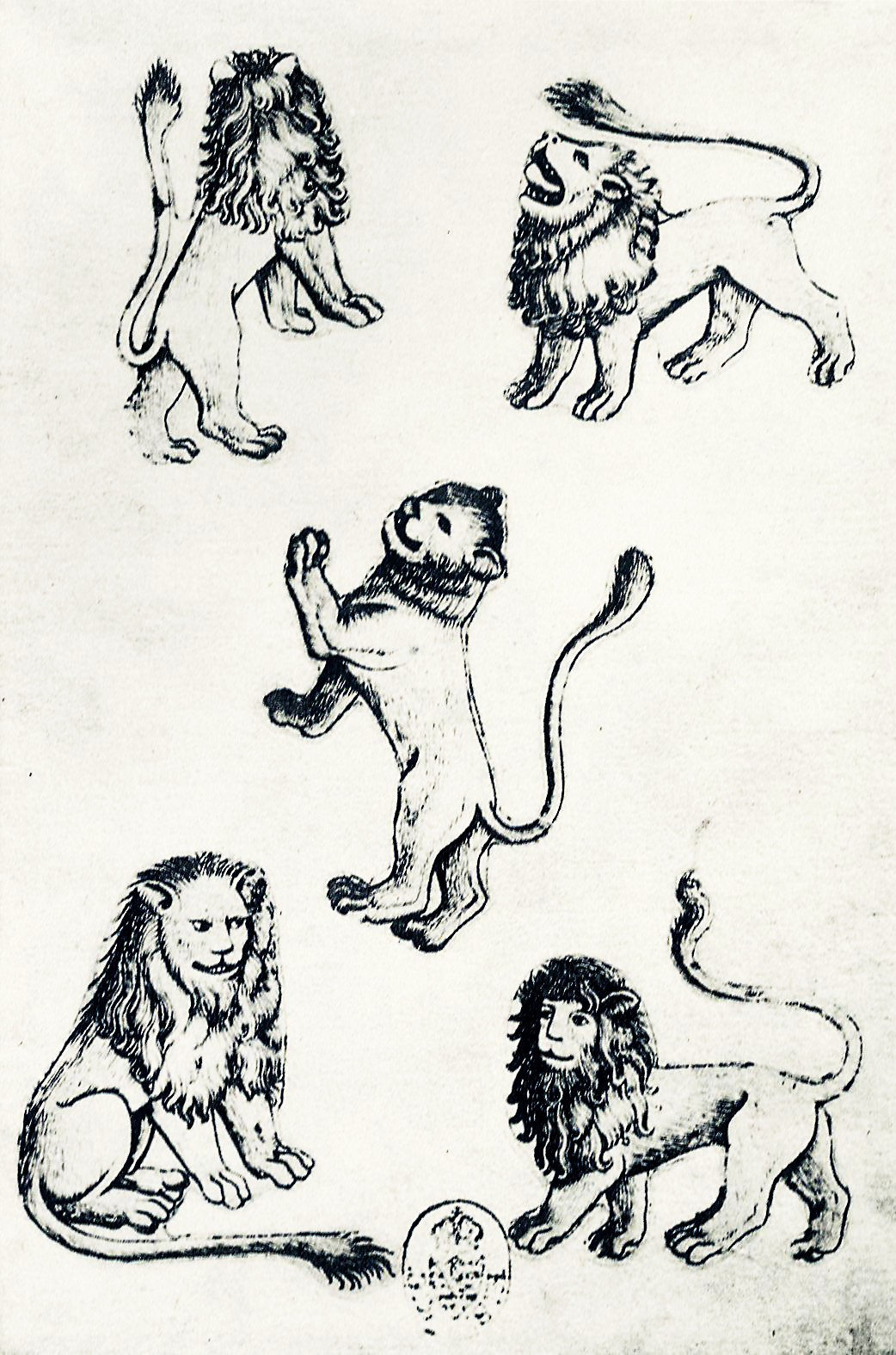 9 Lions card