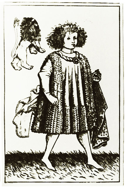 Lions card