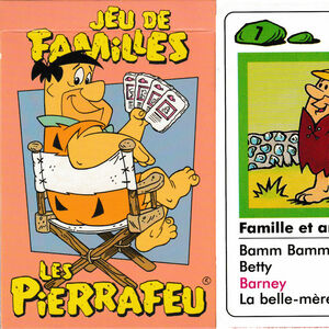 Jeu de Familles Les Pierrafeu®