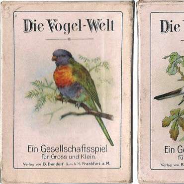 Die Vogel-Welt No. 351