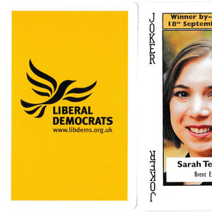 Liberal Democrats Playing Cards