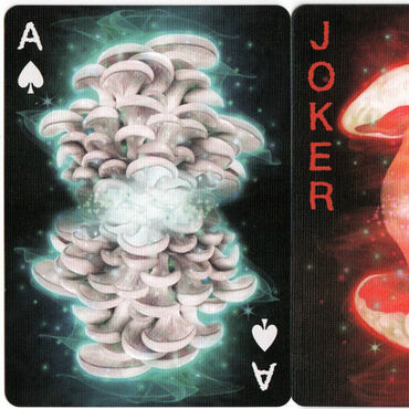 Fungi Mycological Playing Cards