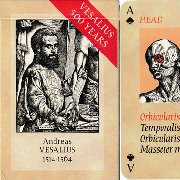 Vesalius Anatomy Card Game