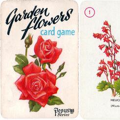 Image for Garden Flowers