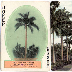 Image for Panama Souvenir 1908