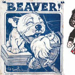 Image for Beaver!