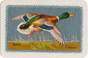 Waddington’s Sporting Birds Series 1933