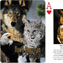 North American wildlife playing cards