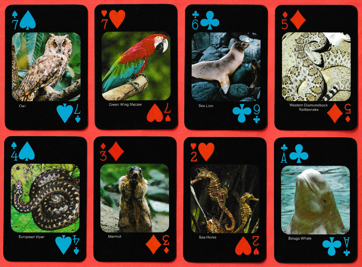 54 different endangered species playing cards published by Safari Limited, Ojus, Florida, USA, c1986