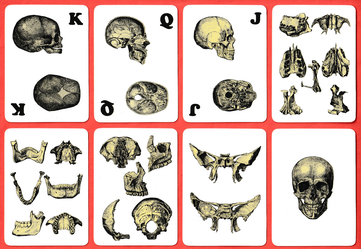 Carte Osteologiche published by Edizioni Libreria dello Studente di Franco Lucisano, Milan, Italy, 1978