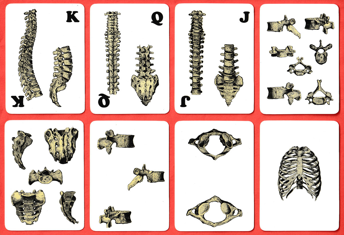 Carte Osteologiche published by Edizioni Libreria dello Studente di Franco Lucisano, Milan, Italy, 1978