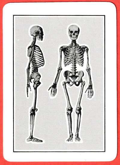 Carte Osteologiche published by Edizioni Libreria dello Studente di Franco Lucisano, Milan, Italy, 1978