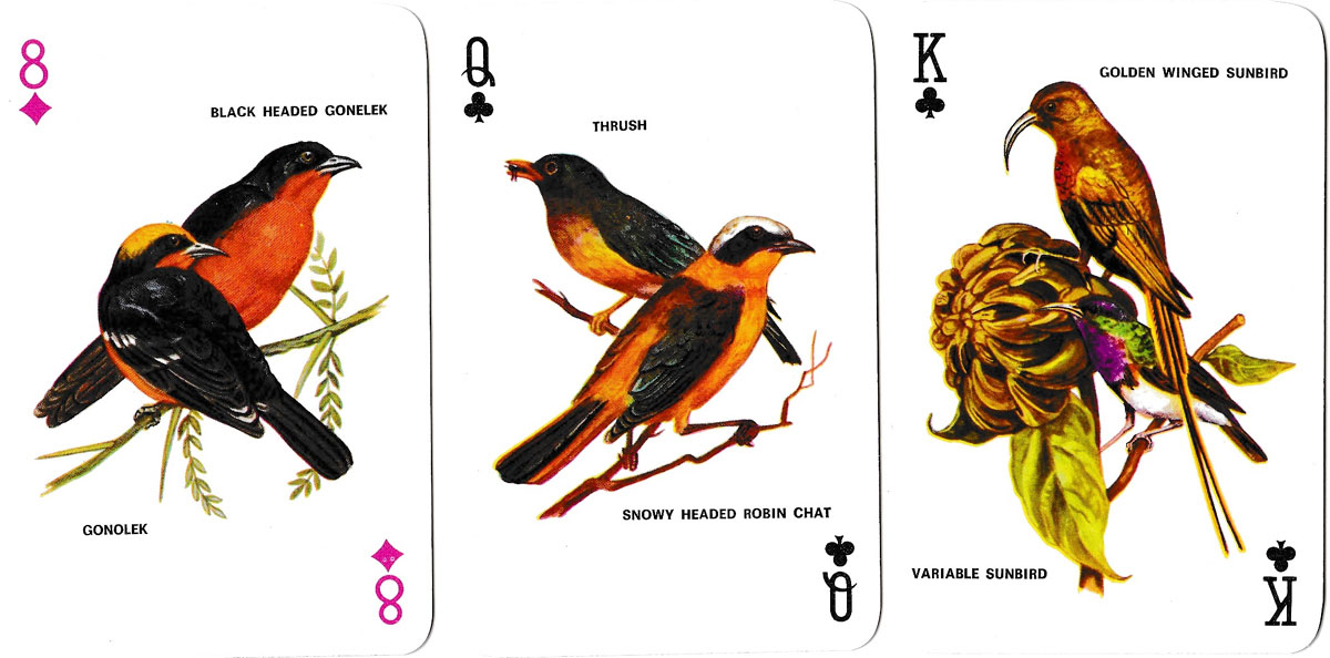 Birds Of Southern Africa — The World Of Playing Cards