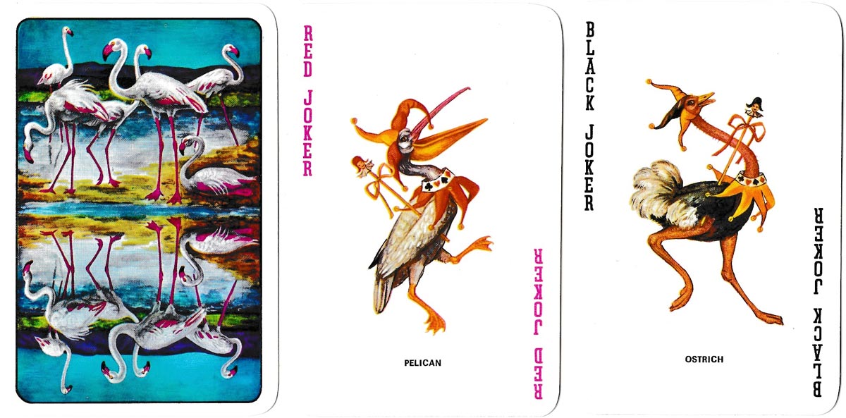 Sapra Studio Original playing cards featuring birds of Southern Africa