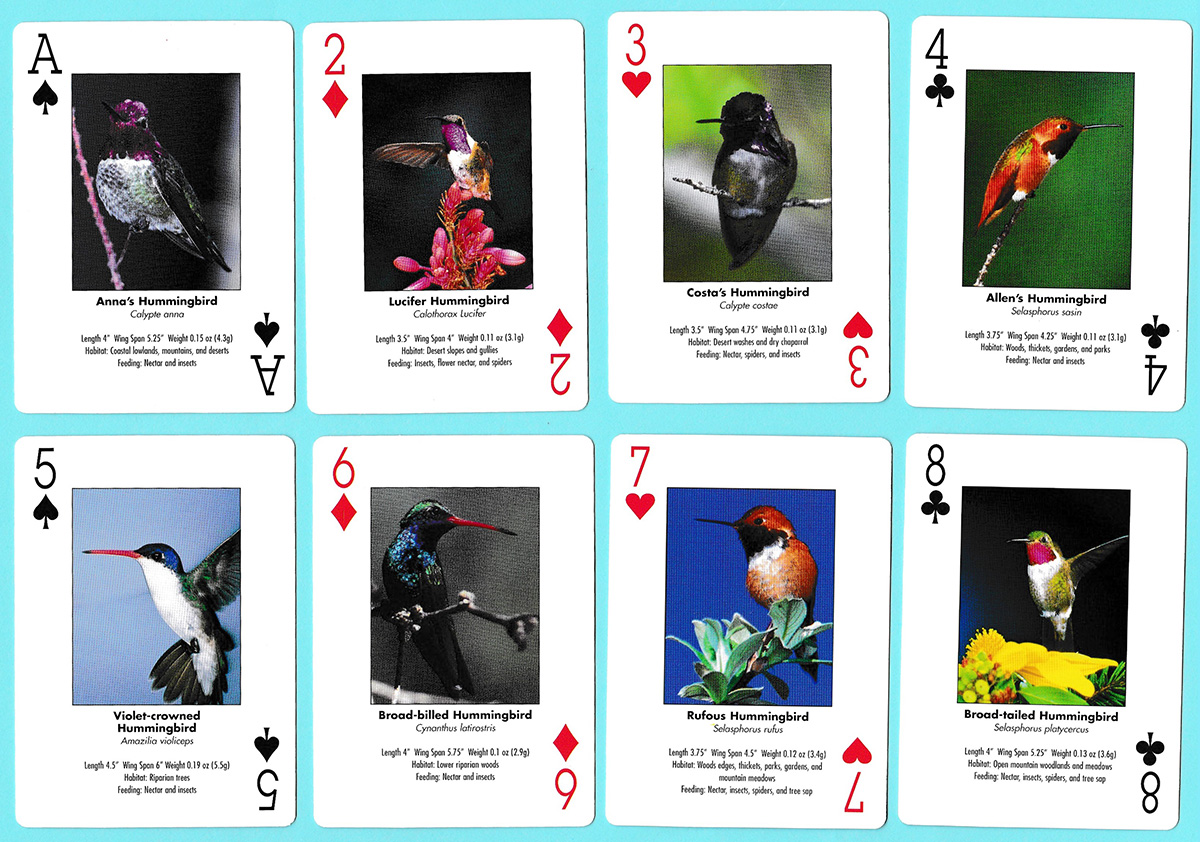 Hummingbirds of the Americas playing cards produced by Impact Photographics of El Dorado Hills, CA