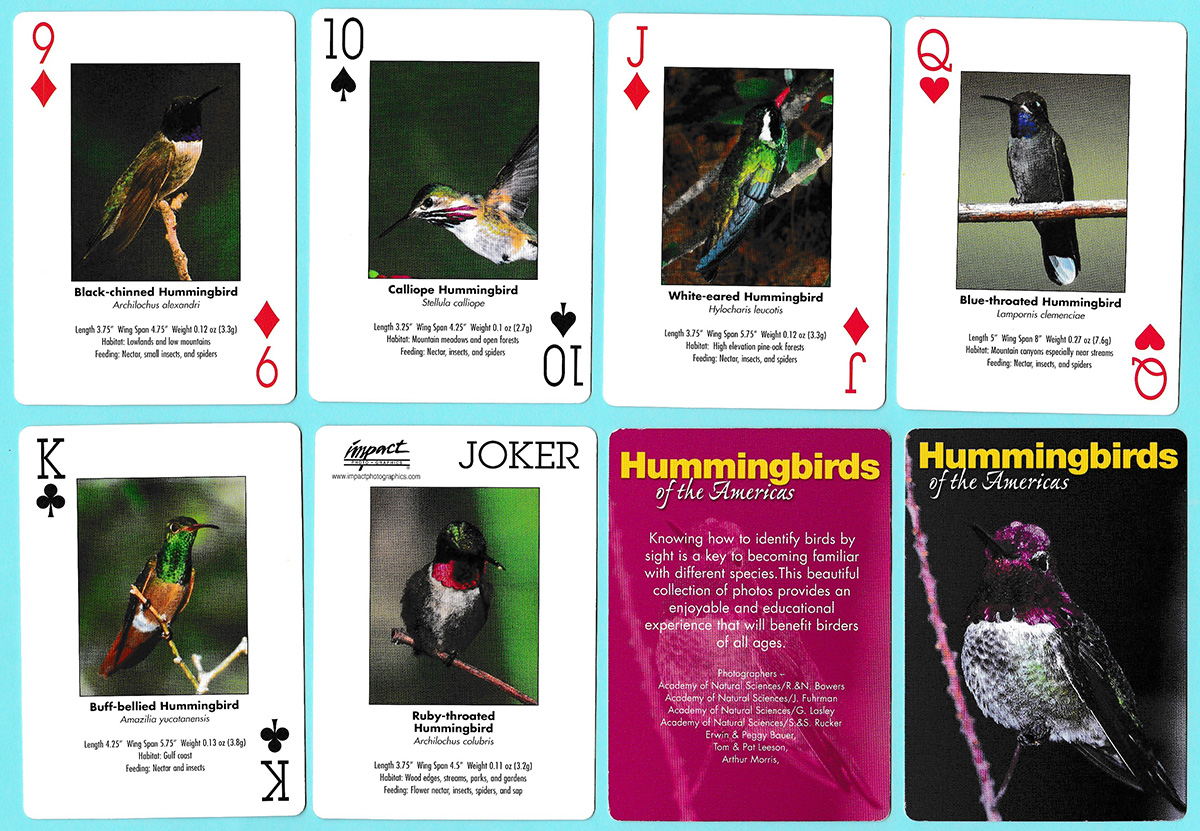 Hummingbirds of the Americas playing cards produced by Impact Photographics of El Dorado Hills, CA