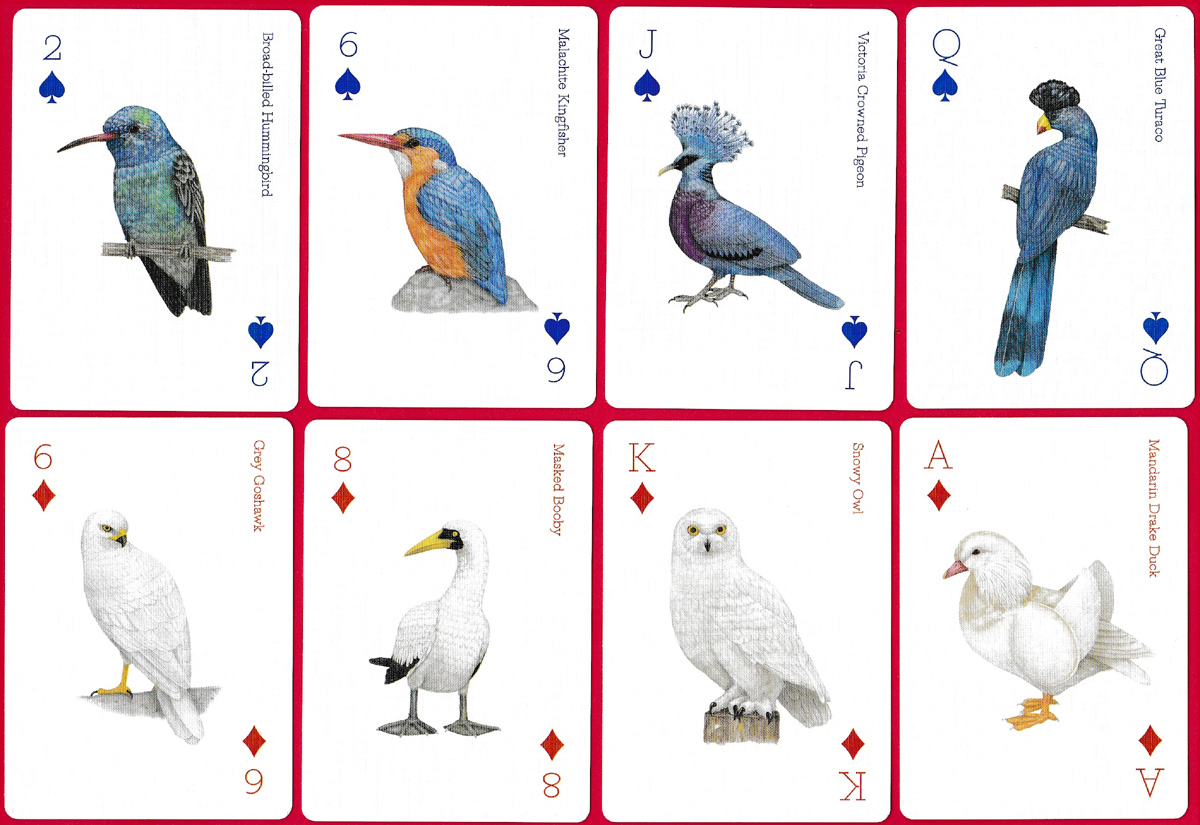 Birds playing cards illustrated by Ryuto Miyake and produced by Laurence King Publishing Ltd, London, 2019