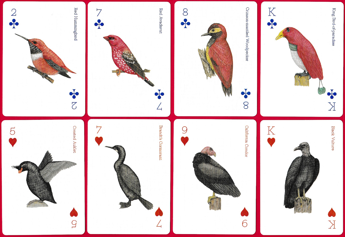 Birds playing cards illustrated by Ryuto Miyake and produced by Laurence King Publishing Ltd, London, 2019