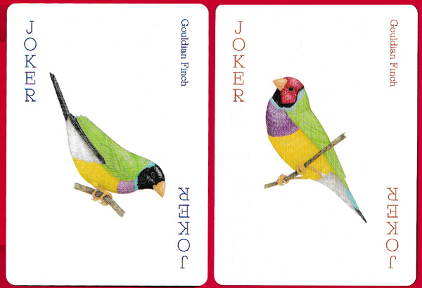 Birds playing cards illustrated by Ryuto Miyake and produced by Laurence King Publishing Ltd, London, 2019