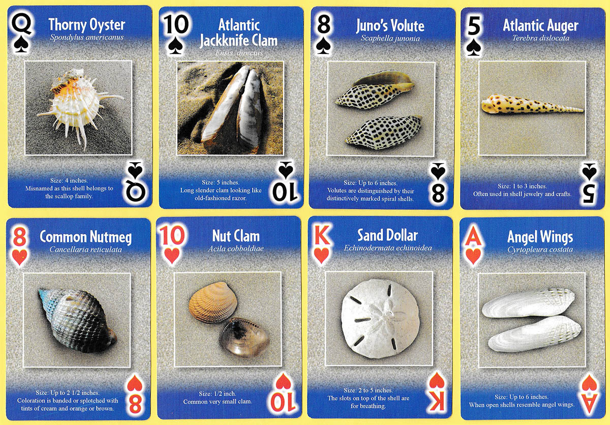 Seashells playing cards published by CKI, Inc., USA