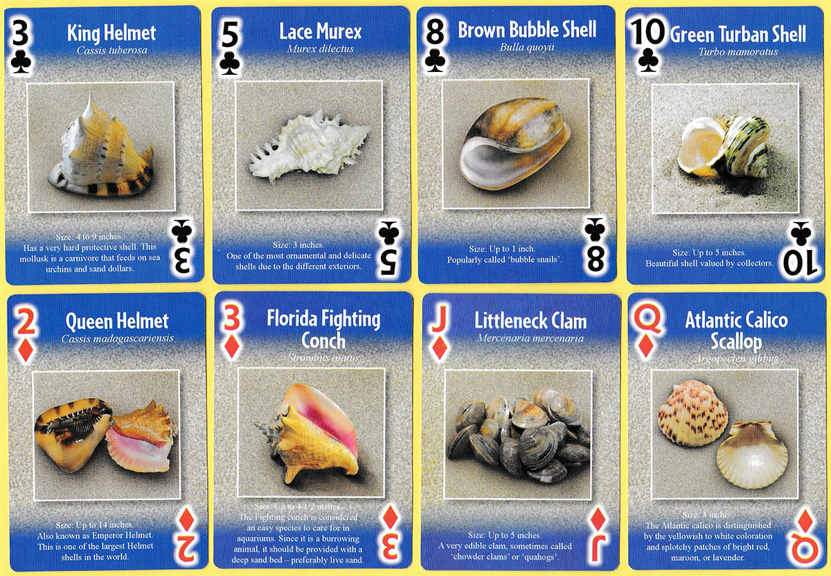 Seashells playing cards published by CKI, Inc., USA