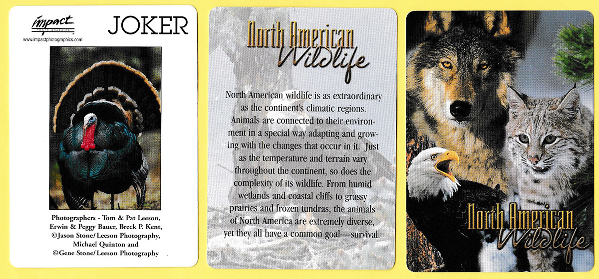 North American wildlife playing cards produced by Impact Photographics of El Dorado Hills